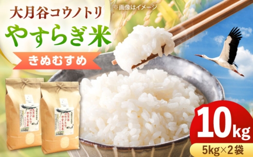 お米 大月谷コウノトリやすらぎ米 10kg（5kg×2袋）きぬむすめ 米 こめ おこめ はくまい 白米 ライス 精米 コメ 10キロ 使いやすい ごはん ご飯 おにぎり お弁当 朝ごはん 便利 朝食 食卓 主食 グルメ おいしい 上品 ツヤ 国産 新生活 一人暮らし 家族 ご当地 ごはんソムリエ おうちごはん おすすめ 人気 島根県雲南市/有限会社藤本米穀店  [AIDB136]