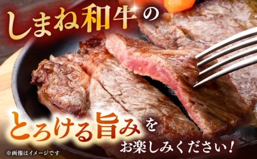 しまね和牛 最高峰ロース！プレミアムステーキセット (サーロイン or リブ) A4ランク保証 220g×2枚 島根県雲南市/Do corporation株式会社｜ブランド牛 和牛 牛肉 島根和牛 ロース ステーキ サーロインステーキ リブロース [AIDI021]