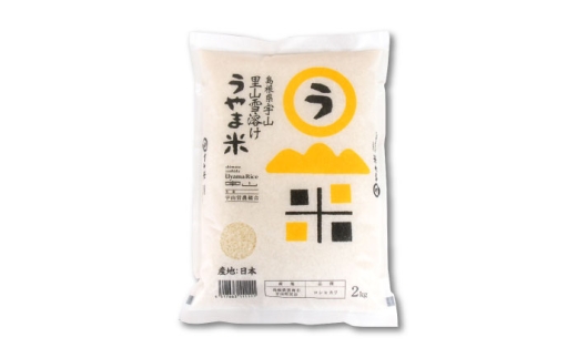 無洗米 【全3回定期便】【令和8年産】神話の里/吉田町「うやま米」コシヒカリ 8kg（2kg×4）白米 精米 コメ おすすめ 人気 お米 米 ごはん ご飯 食卓 主食 ブランド米 お取り寄せ グルメ ご当地米 贈り物 贈答 ギフト 家族 ファミリー 時短 便利 定期便 小分け 8キロ 毎月お届け おいしい 国産 新生活 ストック お弁当 島根県雲南市/有限会社藤本米穀店 [AIDB084-r8]
