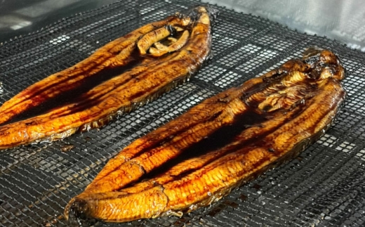 鰻のかば焼き2本 鰻 うなぎ ウナギ かば焼き 土用の丑の日 小分け 惣菜 人気 おすすめ 島根県雲南市/有限会社田丸屋魚店 [AIEH005]