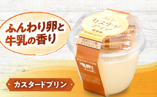 牛乳 【全3回定期便】朝食やおやつに！プリン・ヨーグルト・ノンホモ牛乳 乳製品3種セット 3回 3ヶ月 詰め合わせ 詰合せ セット ギフト 贈り物 プレゼント 木次乳業 プリン ぷりん ヨーグルト 牛乳 ミルク パスチャライズ牛乳 低温殺菌 朝食 おやつ デザート スイーツ 人気 おすすめ おいしい フレッシュ 定期便 島根 雲南 島根県雲南市/木次乳業有限会社 [AIBH003]