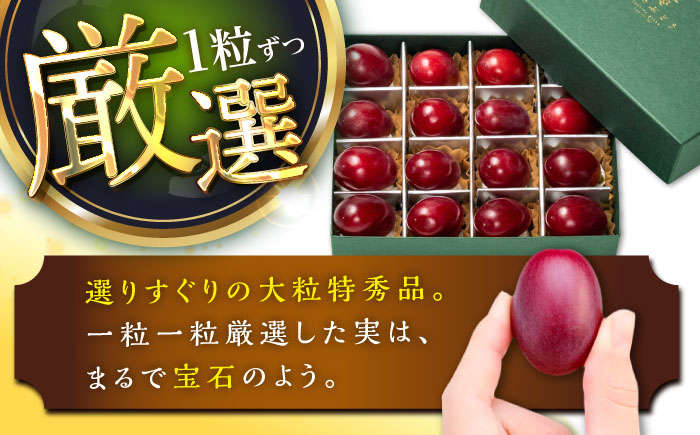 【先行予約：2026年8月中旬より発送】【数量限定】贈り物におすすめ！島根オリジナルぶどう神紅・ジュエリーBOX 16粒(約280g) 島根県雲南市/ギアファーム [AIAB019]
