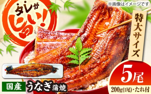 【うなぎの美味しさはタレで決まる！】自慢の味・国産活うなぎ蒲焼（5本入）| うなぎ タレ 蒲焼 国産 美味しい うな丼 鰻重 魚 島根県雲南市/有限会社石田魚店 [AICQ011]