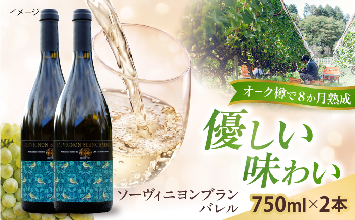 ソーヴィニヨンブランバレル 2本 750ml×2 白ワイン 樽熟成 国産 島根県雲南市/有限会社奥出雲葡萄園 [AICS116]