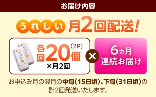 《月2回 × 20個 6ヵ月コース》 たたらの里平飼い 彩り天佑卵 全12回定期便 たまご 卵 放牧卵 平飼い卵 国産卵 タマゴ 玉子 鶏卵 鶏 卵黄 月2回 卵20個 6ヵ月 定期 新鮮卵 卵定期便 たまご定期便 卵料理 卵かけごはん 卵焼き 玉子焼き パック卵 便利 ストック卵 人気 美味しい卵 おすすめ 天佑卵 島根県雲南市/株式会社たなべたたらの里（たなべ森の鶏舎） [AIDL022]