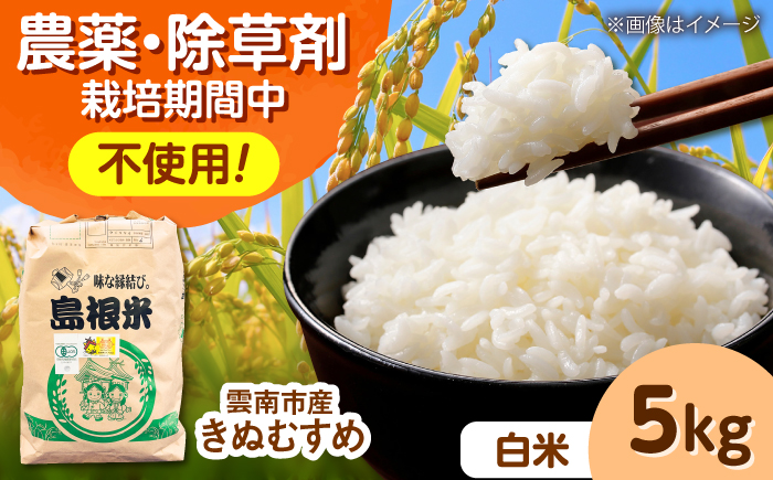 【有機JAS認定】令和7年産 白米 雲南市産きぬむすめ 5kg 島根県雲南市/佐藤ファーム ｜精米 コメ 有機栽培 完全無農薬 美味しまね認証 [AIEO002]