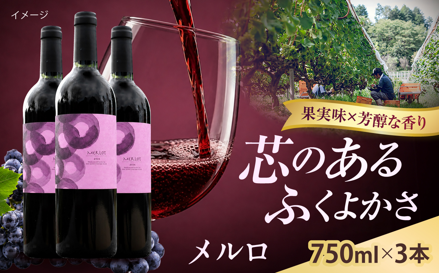 メルロ 3本 750ml×3 赤ワイン 国産 島根県雲南市/有限会社奥出雲葡萄園 [AICS102]