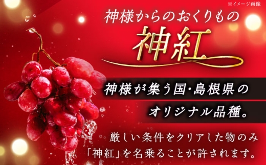 【2026年先行予約】【8月初旬頃から順次発送】【秀品】神紅・シャインマスカット 各1房 計1kg以上 島根県雲南市/池田ぶどう農園 フルーツ 果物 ぶどう セット 食べ比べ 贈答用 　 [AIAA004]