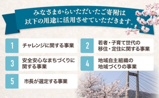 【贅沢な甘さ】甘露さしみ醤油1000ml3本　調味料 醤油 しょうゆ こいくち 刺身 ギフト 詰め合わせ 島根県雲南市/有限会社紅梅しょうゆ [AICV030]