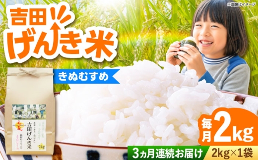 お米【全3回定期便】吉田げんき米きぬむすめ 2kg 米 こめ おこめ はくまい 白米 ライス げんき米 精米 コメ 2キロ 使いやすい ごはん ご飯 おにぎり お弁当 朝ごはん 便利 朝食 食卓 主食 グルメ おいしい つや あっさり もっちり 国産 新生活 一人暮らし 家族 ご当地 ごはんソムリエ おうちごはん おすすめ 人気 定期便 島根県雲南市/有限会社藤本米穀店[AIDB131]
