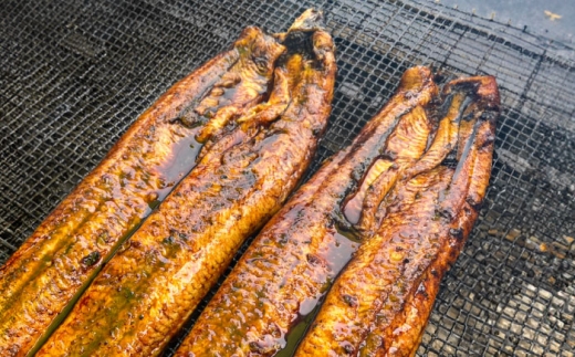 鰻のかば焼き1本 鰻 うなぎ ウナギ かば焼き 土用の丑の日 小分け 惣菜 人気 おすすめ 島根県雲南市/有限会社田丸屋魚店 [AIEH004]