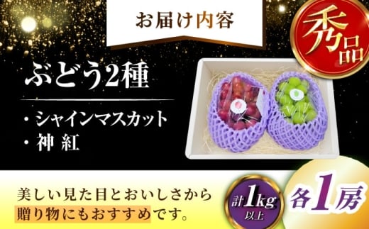 【2026年先行予約】【8月初旬頃から順次発送】【秀品】神紅・シャインマスカット 各1房 計1kg以上 島根県雲南市/池田ぶどう農園 フルーツ 果物 ぶどう セット 食べ比べ 贈答用 　 [AIAA004]