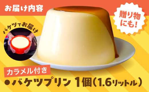 スイーツ 誕生日やパーティーに大人気のお取り寄せ「バケツプリン」 ぷりん デザート おすすめ 人気 スイーツ 洋菓子 お菓子 甘いもの 特大 大きい ビッグサイズ 大容量 おやつ 贈答 贈り物 こども 子供 家族 ファミリー ギフト お祝い カスタード おいしい 濃厚 カラメル お取り寄せスイーツ サプライズ インスタ映え お誕生日 島根県雲南市/有限会社簸上堂 [AIDA001]