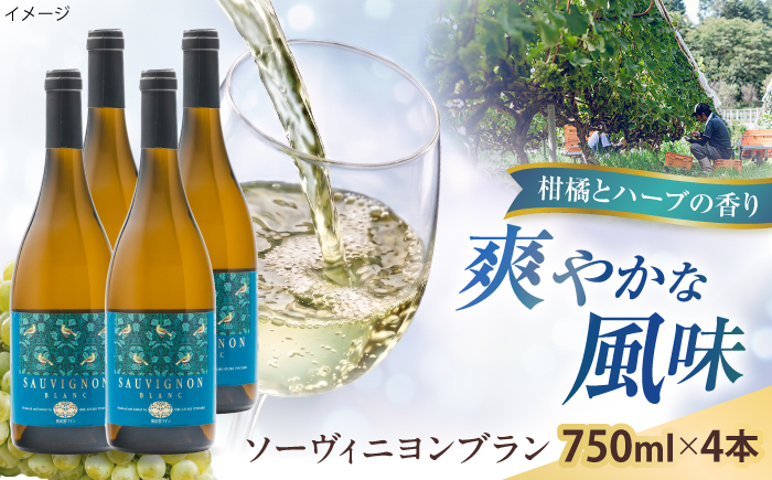 ソーヴィニヨンブラン 4本 750ml×4 白ワイン 国産 島根県雲南市/有限会社奥出雲葡萄園 [AICS113]