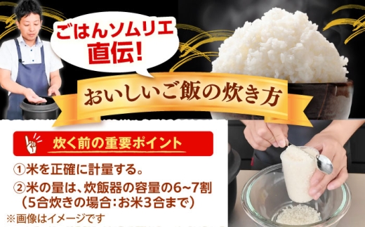 ＼寄附額改定↓／お米 雲南市産コシヒカリ 10kg（5kg×2袋）こしひかり コシヒカリ 米 こめ おこめ はくまい 精米 コメ 10キロ 使いやすい ごはん ご飯 おにぎり お弁当 朝ごはん 食卓 主食 グルメ おいしい ふっくら もちもち 濃厚 冷めても美味しい 国産 新生活 一人暮らし 家族 ご当地 ごはんソムリエ おすすめ 人気 お取り寄せ 島根県雲南市/有限会社藤本米穀店 [AIDB106]