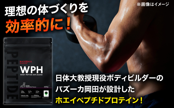 プロテイン BAZOOKA NUTRITION WPH（ホエイペプチド）＜サワートロピカル＞ 600g｜バズーカ岡田監修・植物由来の甘味料使用・国内製造 島根県雲南市/株式会社アルプロン [AIEN001]