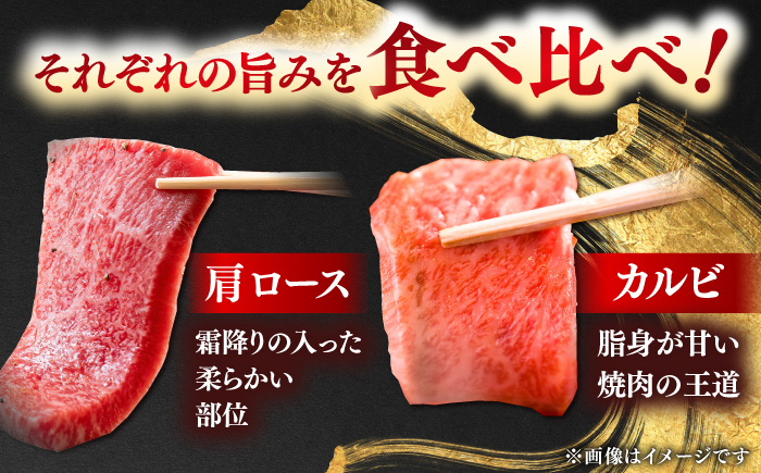 しまね和牛焼肉用2種盛り(肩ロース・カルビ) 各280g 島根和牛 黒毛和牛 詰め合わせ 食べ比べ 島根県雲南市/Do corporation株式会社 [AIDI022]