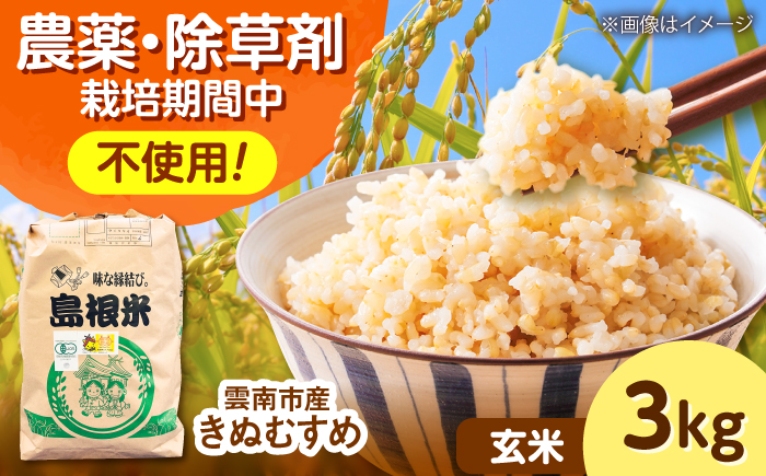 【有機JAS認定】令和7年産 玄米 雲南市産きぬむすめ 3kg 島根県雲南市/佐藤ファーム ｜玄米 コメ 有機栽培 完全無農薬 美味しまね認証 [AIEO005]