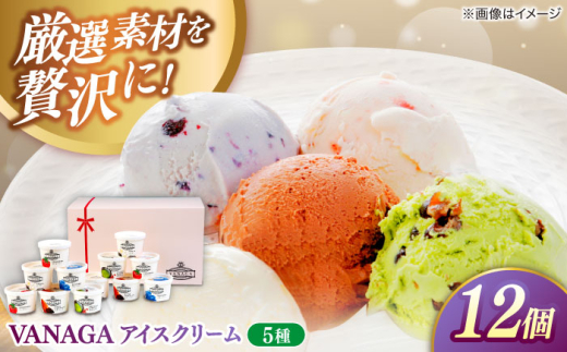 アイスクリーム ご褒美アイスにぴったり！VANAGA 5種類のアイスクリーム12個入 アイス バニラ ストロベリー 抹茶あずき ビターチョコ ブルーベリー デザート スイーツ ギフト 詰め合わせ セット 食べ比べ おやつ ごほうび 人気 おすすめ 12個 5種 木次乳業 バニラアイス 苺 抹茶 チョコレート お取り寄せ 島根 雲南 島根県雲南市/木次乳業有限会社 [AIBH008]