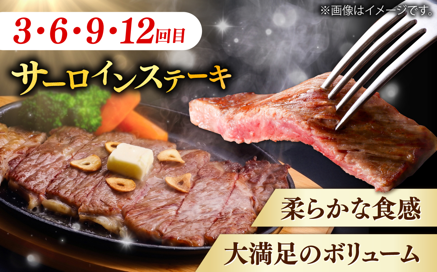 【月10個限定】【全12回定期便】しまね和牛＜ステーキ3種コース/計4.8kg＞ 毎月違う部位が届く 各400g（シャトーブリアン・サイコロステーキ・サーロインステーキ）島根和牛 ブランド牛 セット 詰め合わせ 牛肉 精肉 島根県雲南市/有限会社宮本食肉店 [AIDQ011]