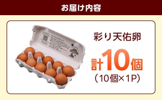 卵 【平飼い卵】黄身の濃厚なコクと白身の甘み！たたらの里平飼い 彩り天佑卵 10個入り（10個×1P）たまご 卵 雲南 放牧卵 タマゴ 鶏卵 生卵 国産 放し飼い 卵焼き 卵かけご飯 TKG 朝食 朝ごはん ご褒美 コク 旨み 贅沢 お取り寄せ 毎日食べたい卵 美容 健康 単品 6千円 お試し 人気 高評価 ランキング 島根県雲南市/株式会社たなべたたらの里（たなべ森の鶏舎） [AIDL006]