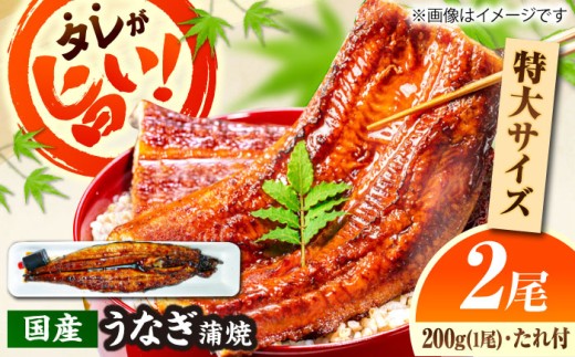 【うなぎの美味しさはタレで決まる！】うなぎ 自慢の味・国産活うなぎ蒲焼（2本入）| うなぎ タレ 蒲焼 国産 美味しい うな丼 鰻重 魚 鰻 蒲焼き 2本 2尾 2人前 国産うなぎ 活うなぎ タレ付き 山椒付き 土用の丑の日 スタミナ ご飯のお供 ごはんのおとも おかず 惣菜 冷凍 簡単調理 温めるだけ 贅沢 ご褒美 ギフト プレゼント 島根県雲南市/有限会社石田魚店[AICQ005]