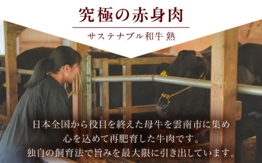 もつ鍋 サステナブル和牛 熟 鍋守 赤のもつ鍋セット４−５人前 モツ500g | サステナブル 和牛 もつ鍋 もつ ちゃんぽん麺 スープ セット しょうゆ 牛肉 和牛 黒毛和牛 熟成 旨味 濃厚 ジューシー ブランド牛 絶品 お取り寄せ 贈り物 ギフト 鍋  島根グルメ ご当地 絶品 セット 豪華 人気 おすすめ SDGs  島根県雲南市/株式会社熟豊ファーム [AIAT006]