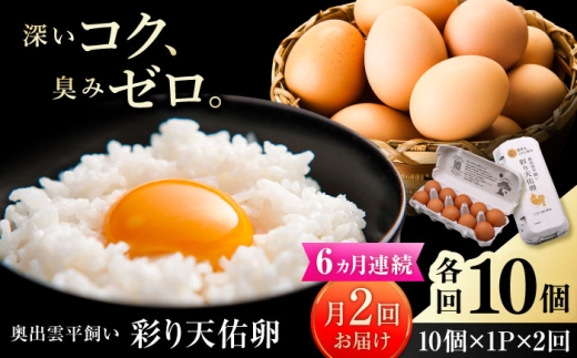 卵《月2回 × 10個 6ヵ月コース》 たたらの里平飼い 彩り天佑卵 全12回定期便 たまご 卵 放牧卵 平飼い卵 国産卵 タマゴ 玉子 鶏卵 鶏 卵黄 月2回 卵10個 6ヵ月 定期 新鮮卵 卵定期便 たまご定期便 卵料理 卵かけごはん 卵焼き 玉子焼き パック卵 便利 ストック卵 人気 美味しい卵 おすすめ 天佑卵島根県雲南市/株式会社たなべたたらの里（たなべ森の鶏舎） [AIDL018]