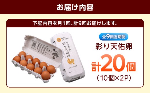 卵 【卵の定期便】【全9回定期便】黄身の濃厚なコクと白身の甘み！たたらの里平飼い 彩り天佑卵 20個入り（10個×2P）たまご 放牧卵 玉子 タマゴ 鶏卵 生卵 国産 平飼い 放し飼い 卵焼き 卵かけご飯 朝食 朝ごはん ご褒美 コク 旨み 贅沢 お取り寄せ 毎日食べたい卵 美容 健康 定期便 人気 高評価 ランキング 島根県雲南市/株式会社たなべたたらの里（たなべ森の鶏舎） [AIDL014]