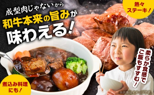 5/19寄附額改定↓ 【訳あり】サイコロステーキ 黒毛和牛 しまね和牛 日本一 和牛 お子様 パクパク 200g×3Ｐ 計600g おすすめ 人気 訳アリ わけあり 不揃い 規格外 国産牛 牛肉 お肉 肉 焼肉 焼き肉 BBQ バーベキュー ご褒美 小分け 便利 簡単調理 時短こども 子供 家族 ファミリー ストック 保存食 お弁当 おかず 島根県雲南市/有限会社宮本食肉店 [AIDQ002]