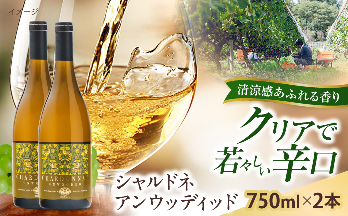 シャルドネアンウッディッド 2本 750ml×2 白ワイン 国産 島根県雲南市/有限会社奥出雲葡萄園 [AICS121]