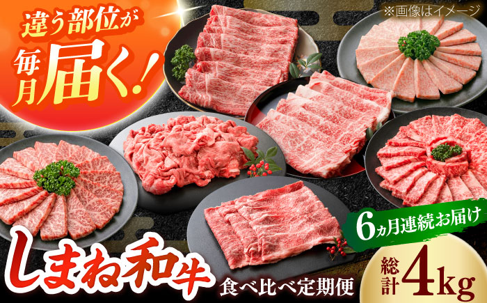 【全6回定期便】島根和牛プレミアセット 和牛 牛肉 定期便 肉 焼肉 すき焼き / 島根県雲南市 / フジキコーポレーション株式会社 [AIEA013]