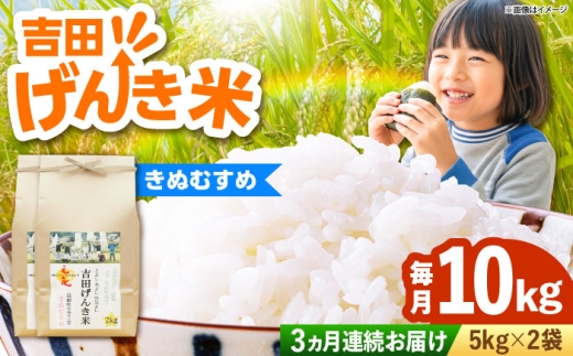 お米【全3回定期便】吉田げんき米きぬむすめ 10kg（5kg×2袋）米 こめ おこめ はくまい 白米 ライス げんき米 精米 コメ 10キロ ごはん ご飯 おにぎり お弁当 朝ごはん 便利 朝食 食卓 主食 グルメ おいしい つや あっさり もっちり 国産 新生活 一人暮らし 家族 ご当地 ごはんソムリエ おすすめ 人気 定期便島根県雲南市/有限会社藤本米穀店 [AIDB133]