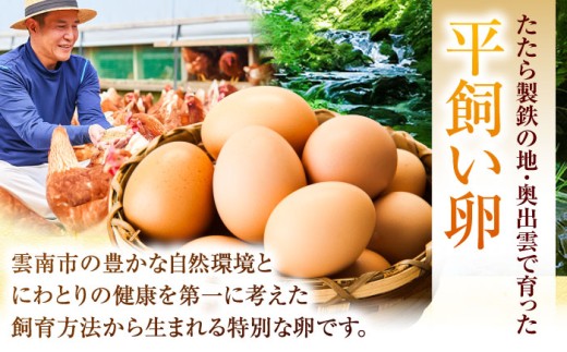 卵 【平飼い卵】【全3回定期便】黄身の濃厚なコクと白身の甘み！たたらの里平飼い 彩り天佑卵 20個入り（10個×2P）たまご 卵 放牧卵 玉子 タマゴ 鶏卵 生卵 国産 放し飼い 卵かけご飯 TKG 朝食 朝ごはん ご褒美 コク 旨み 贅沢 お取り寄せ 毎日食べたい卵 美容 健康 単品 定期便 人気 高評価 ランキング 島根県雲南市/株式会社たなべたたらの里（たなべ森の鶏舎） [AIDL012]