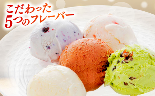 アイスクリーム ご褒美アイスにぴったり！VANAGA 5種類のアイスクリーム12個入 アイス バニラ ストロベリー 抹茶あずき ビターチョコ ブルーベリー デザート スイーツ ギフト 詰め合わせ セット 食べ比べ おやつ ごほうび 人気 おすすめ 12個 5種 木次乳業 バニラアイス 苺 抹茶 チョコレート お取り寄せ 島根 雲南 島根県雲南市/木次乳業有限会社 [AIBH008]