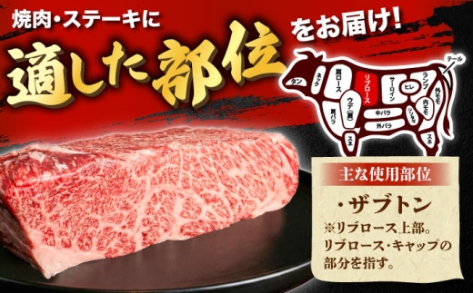 牛肉【高級部位】しまね和牛ザブトン500g 和牛 牛肉 にく お肉 国産 国産牛 焼肉 やきにく リブロース 人気 黒毛和牛 しまね和牛 わぎゅう ザブトン 高級 島根県 雲南市 500g肉 ザブトン500g リブロース キャップ 霜降り お取り寄せ グルメ 霜降り肉 晩ごはん おうちごはん バーベキュー BBQ キャンプ 贅沢 肉料理 島根県雲南市/株式会社O.R.C [AIEF018]