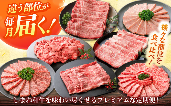 【全6回定期便】島根和牛プレミアセット 和牛 牛肉 定期便 肉 焼肉 すき焼き / 島根県雲南市 / フジキコーポレーション株式会社 [AIEA013]
