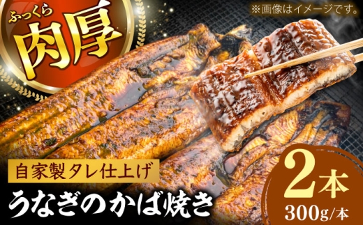 鰻のかば焼き2本 鰻 うなぎ ウナギ かば焼き 土用の丑の日 小分け 惣菜 人気 おすすめ 島根県雲南市/有限会社田丸屋魚店 [AIEH005]