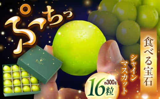 フルーツ 【2026年先行予約】【25個限定】贈り物におすすめ！シャインマスカット ジュエリーBOX 16粒(約300g) マスカット ぶどう 葡萄 皮ごと 種なし 果物 産直 産地直送 旬 限定 先行予約 高級 ギフト 贈答 贈り物 プレミアム  ジュエリーBOX 大粒 甘い デザート スイーツ 雲南 絶品 フルーツ ご当地 人気 おすすめ島根県雲南市/ギアファーム [AIAB009]