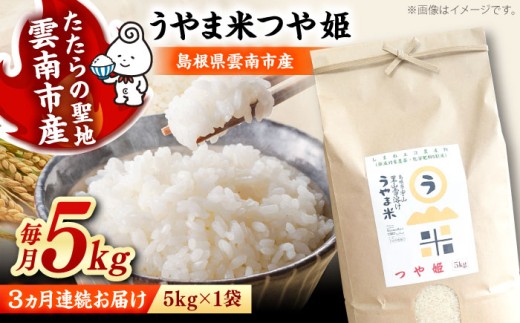 お米【全3回定期便】神話の里/吉田町「うやま米」つや姫 5kg（5kg×1）白米 精米 コメ おこめ お米 つやひめ 定期便 おすすめ 人気 米 ごはん ご飯 食卓 主食 ブランド米 お取り寄せ グルメ ご当地米 家族 ファミリー 一人暮らし 便利 5キロ おいしい ごはんソムリエ ミネラル 国産 新生活 お弁当 朝ごはん 朝食 昼食 ご当地 島根県雲南市/有限会社藤本米穀店 [AIDB089]