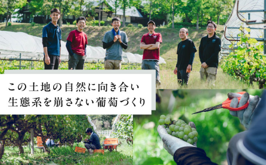 【ギフト包装】ワイン 奥出雲葡萄園 杜のワイン 白・赤 2本セット 国産 ワイン セット 白ワイン 赤ワイン 2本 2本セット 詰め合わせ 飲み比べ セット ギフト ギフト包装 ラッピング 贈り物 プレゼント 贈答 お祝い 誕生日 記念日 お酒 酒 アルコール 日本ワイン 国産ワイン 地ワイン 750ml やや甘口 スッキリ 島根県雲南市/有限会社奥出雲葡萄園 [AICS083]