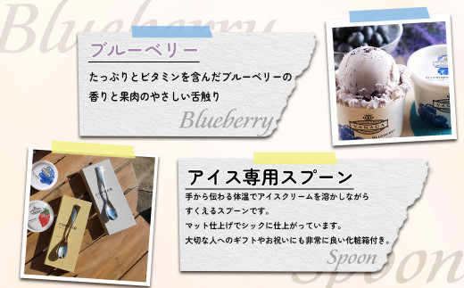 アイスクリーム VANAGAプレミアムご当地アイス12個とアイス専用スプーン（シルバー1本）の13点セット | アイスクリーム アイス 濃厚 バニラ デザート アイス 12個 12個入り セット 詰め合わせ 食べ比べ スプーン アイススプーン 熱伝導スプーン デザート スイーツ おやつ ごほうび 木次乳業 バニラ お取り寄せ プレゼント シルバー 島根県雲南市/やまざと.com [AICN002]