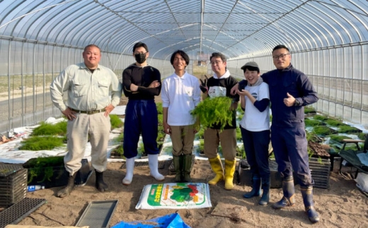 【全2回定期便】【先行予約】【2026年4月以降発送】春＆夏アスパラガス 各1kg 島根県雲南市/tasten 野菜 アスパラ 数量限定 20個 [AIEJ002]