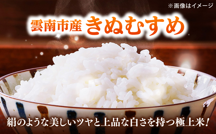 新米【全3回定期便】【令和8年産】雲南市産きぬむすめ 10kg（5kg×2袋）米 こめ おこめ はくまい 白米 ライス 精米 コメ 特A 10キロ 使いやすい ごはん ご飯 おにぎり お弁当 朝ごはん 便利 朝食 食卓 主食 グルメ おいしい つや あっさり もっちり 食感 国産 新生活 一人暮らし 家族 ご当地 ごはんソムリエ おすすめ 人気 定期便 島根県雲南市/有限会社藤本米穀店 [AIDB103-r8]