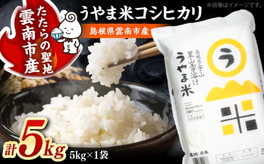 お米 うやま米コシヒカリ 5kg（5kg×1）白米 精米 コメ おすすめ 人気 お米 米 ごはん ご飯 おにぎり 炊き込みご飯 食卓 主食 ブランド米 お取り寄せ グルメ ご当地米 贈り物 贈答 ギフト 家族 ファミリー 一人暮らし 単身 ストック 新生活 5キロ おいしい 国産 毎日 お弁当 朝ごはん 島根県雲南市/有限会社藤本米穀店 [AIDB076]
