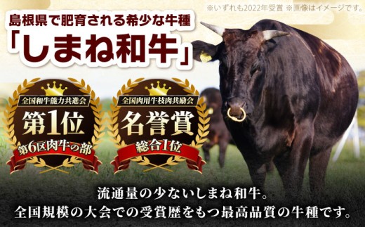 5/19寄附額改定↓ 【訳あり】サイコロステーキ 黒毛和牛 しまね和牛 日本一 和牛 お子様 パクパク 200g×3Ｐ 計600g おすすめ 人気 訳アリ わけあり 不揃い 規格外 国産牛 牛肉 お肉 肉 焼肉 焼き肉 BBQ バーベキュー ご褒美 小分け 便利 簡単調理 時短こども 子供 家族 ファミリー ストック 保存食 お弁当 おかず 島根県雲南市/有限会社宮本食肉店 [AIDQ002]