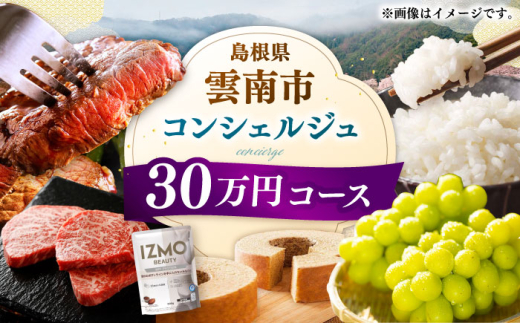コンシェルジュ【雲南市コンシェルジュ】返礼品おまかせ！寄附額30万円コース 300000円 しまね和牛 ブランド牛 詰め合わせ プレゼント 人気 おすすめ ギフト グルメ 食品 セット 肉 魚 米 乳製品 スイーツ 旬 日用品 時短 便利 お任せ 贈り物 贈答 記念日 誕生日 家族 ファミリー 厳選 カスタマイズ 詰合せ おまかせ 島根県雲南市/雲南市ふるさと納税 [AIDM004]
