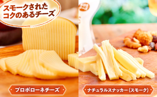 チーズ 大満足の美味しさ！乳製品セットDX（プリン・ヨーグルト・4種のチーズ）詰め合わせ 詰合せ セット ギフト 贈り物 プレゼント 木次乳業 プリン ぷりん ヨーグルト チーズ ナチュラルチーズ プロボローネ カマンベール ゴーダ フロマージュ フレッシュ 朝食 おやつ デザート スイーツ 人気 おすすめ おいしい 朝食 島根 雲南 島根県雲南市/木次乳業有限会社 [AIBH012]
