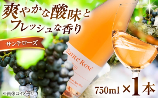 ワイン【2025年新作】スパークリングワイン サンテローズ（カベルネソーヴィニヨンロゼ・スパークリング）750ml×1本 ワイン お酒 ぶどう スパークリングワイン 750ml 1本 単品 わいん ロゼワイン カベルネソーヴィニヨン ロゼ スパークリング 発泡性ワイン お酒 酒 アルコール 日本ワイン 国産ワイン 地ワイン お取り寄せ おすすめ 島根県雲南市/有限会社奥出雲葡萄園[AICS090]