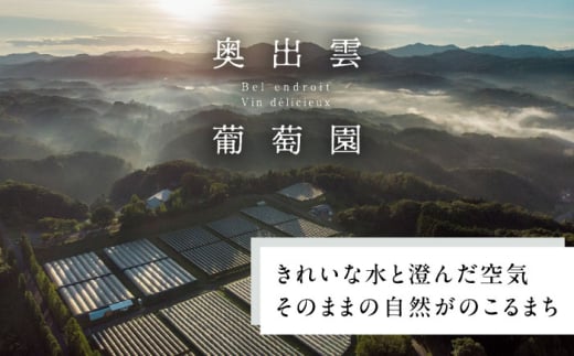 ワイン 奥出雲葡萄園 シャルドネ（白ワイン）国産 ワイン セット 白ワイン シャルドネ 1本 単品 750ml 辛口 フルーティー お酒 酒 アルコール 日本ワイン 国産ワイン 地ワイン 贈り物 プレゼント 贈答 お祝い 誕生日 記念日 パーティー 人気 おすすめ 送料無料 冷酒 奥出雲 晩酌 家飲み ホームパーティー 島根県雲南市/有限会社奥出雲葡萄園 [AICS050]